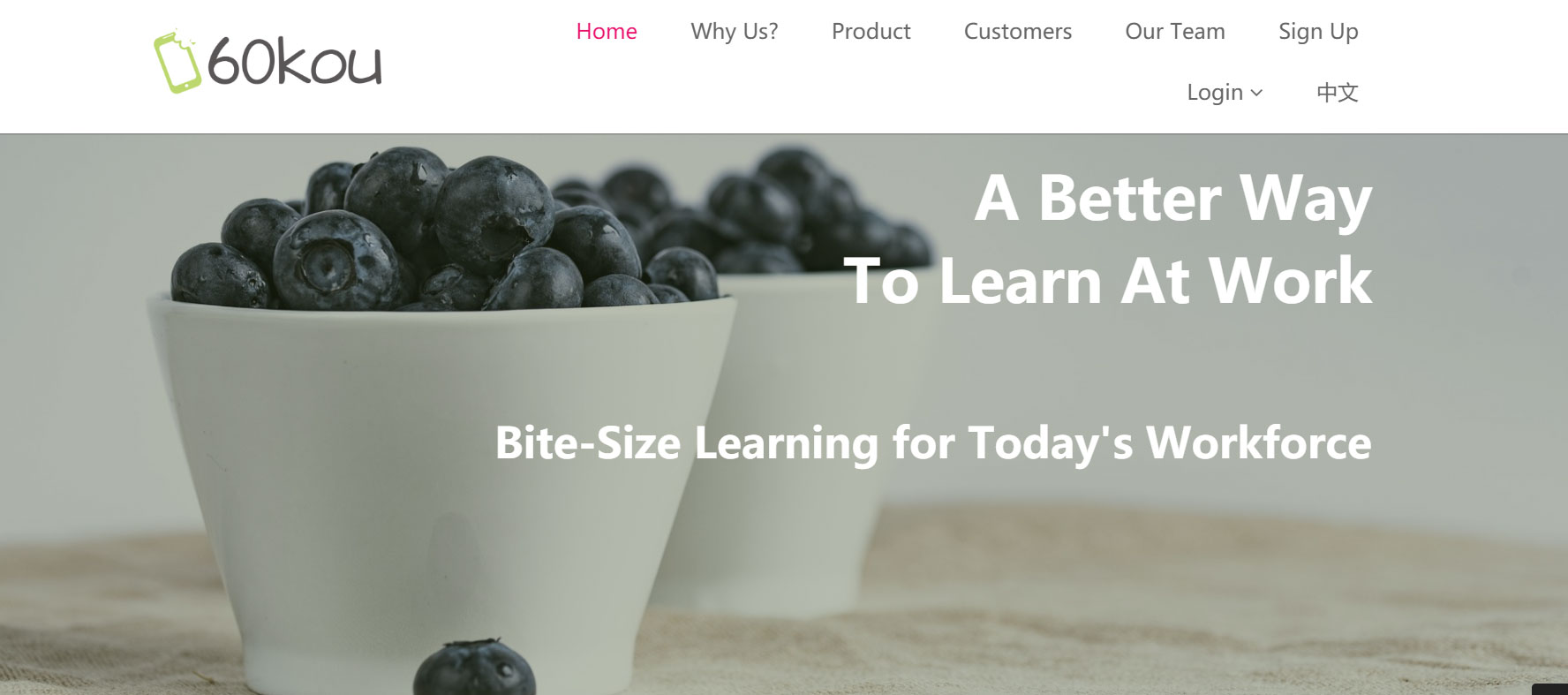 上线了英文网站案例 上线了英文网站案例